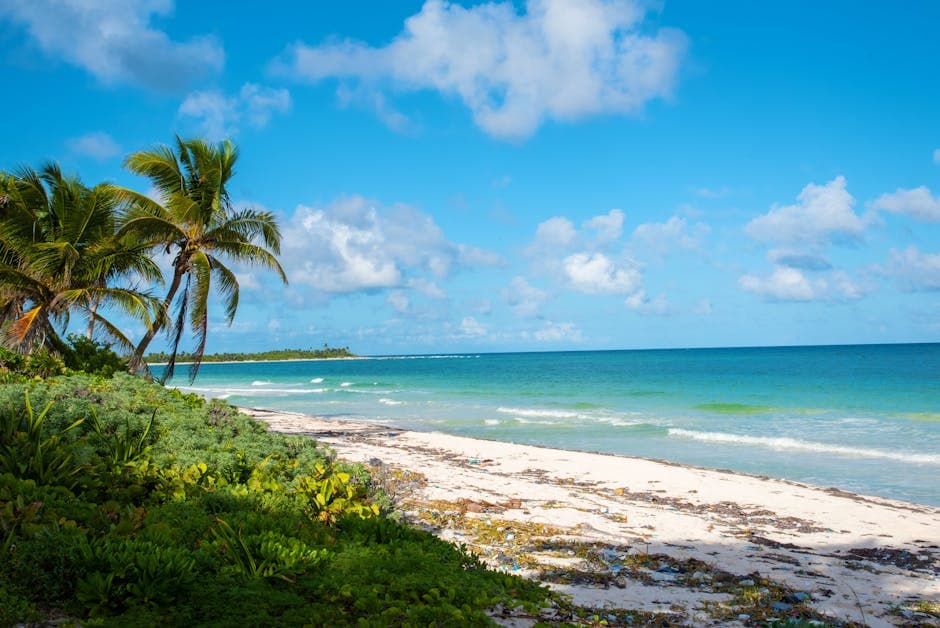 Caribbean vs Mexico Honeymoon: Which Is Right for You? (2026)